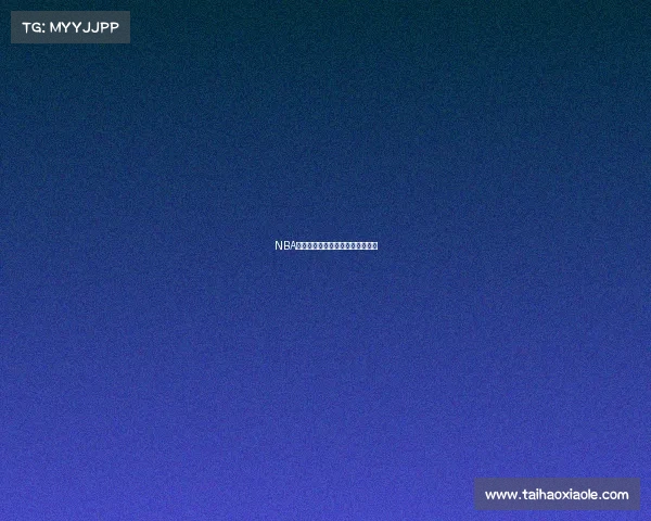 NBA盖帽王的成长之路与巅峰对决揭秘