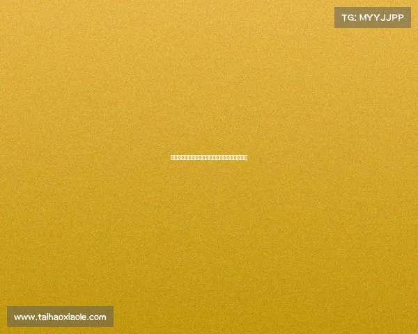 武术班教学探索：传统技艺与现代实践的完美融合